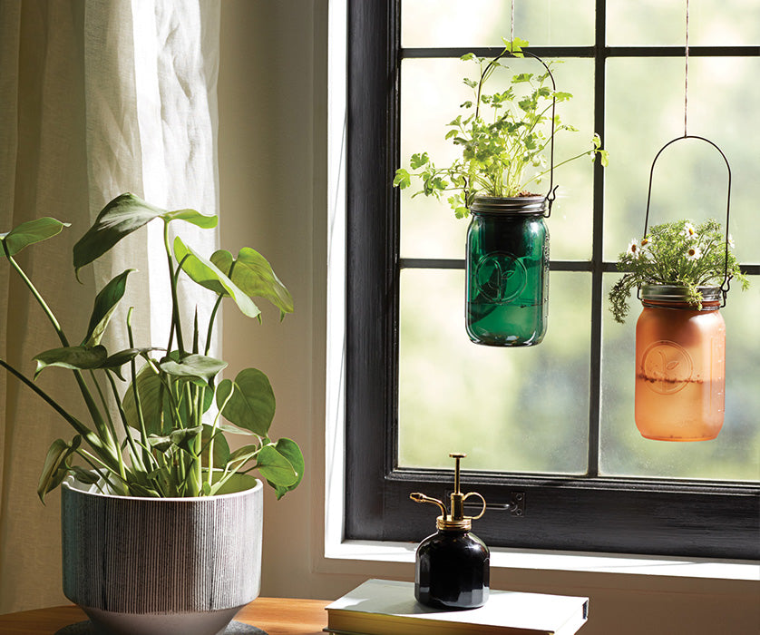 garden jars hanging in a window